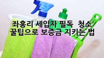 좌홍리 세입자 필독! ✨ 청소 꿀팁으로 보증금 지키는 법 🏡